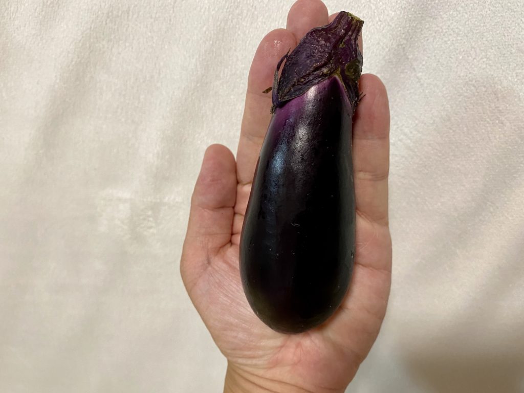 らでぃっしゅぼーや　なす　美味しさ